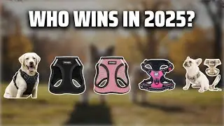 The Top 5 Best Small Dog Harnesses in 2025 - Must Watch Before Buying!