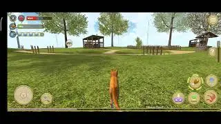 CAT GAMES ON SCREEN | Cat Kills Mouse Game #gameforcats #playfulcats #catvsmouse #fungame