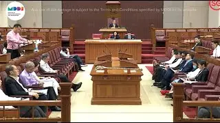 Parliament Sitting 13 January 2026 (English interpretation)