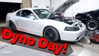 2003 Cobra Dyno - VMP 2.3 Results!