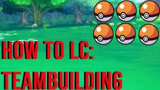 How to Little Cup: Teambuilding