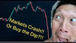 CRASH ahead?! Or BUY the DIP?!
