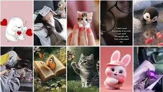 Whatsapp Dp Photo Instagram Dpz For Girls/Profile Pics🎀Profile Images Instagram Profile Pic/Cute Dps