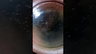 Big Boss snegan egg masala recipe (sweet and spicy)