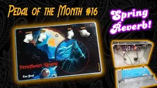 Spaceman FX Orion SPRING REVERB - Pedal of the Month #16