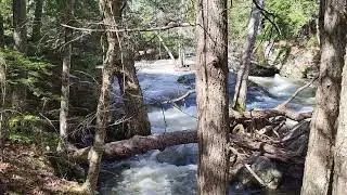 a short hike in Maine  vid3 of 4