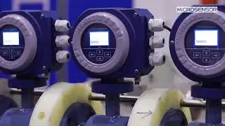 Electromagnetic Flow Meter Manufacturer - Micro Sensor Co,. Ltd.
