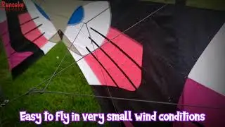 Quad line sport kite F.A || Bandung.