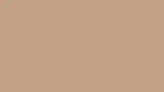12 Hours Light Brown Color Screen | Shades of Brown | Still Color Screens