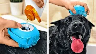 ASTUCES ET GADGETS MIGNONS ET UTILES POUR LES ANIMAUX