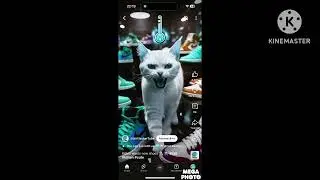 Preview 2 Kitten Wants New Shoes Effects
