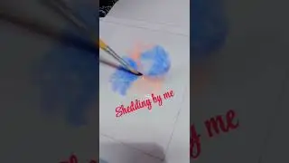 shedding by saba naaz Arte's