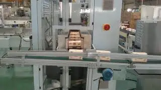 Auto log saw and auto soft packing machine for facial tissue