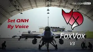 Set QNH via voice in Falcon BMS