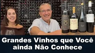 GRANDES VINHOS QUE VOC&Ecirc; N&Atilde;O CONHECE