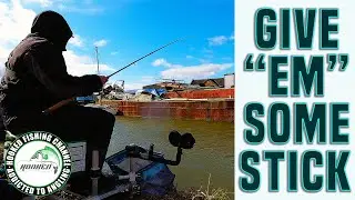 Stick Float Fishing for ROACH on the RIVER HULL