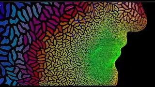 Particles spawning and Resizing along surface