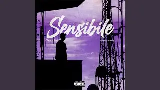 Sensibile