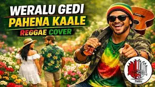 Weralu Gedi Pahena | වෙරලු ගෙඩි පැහෙන | Reggae Cover Version | Reggae Kolla | Mr. Chamara Ranawaka