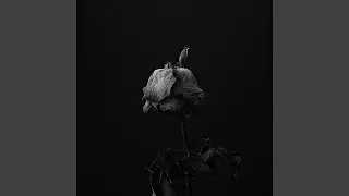 Dead Roses