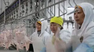 Усть-Каменогорская птицефабрика.