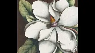 Magnolia State of Mind (115A Sessions) - JD Spencer Original