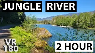 VR180 | Jungle River | Sleep Aid | 2 Hour