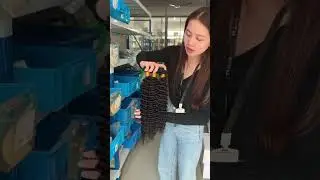 Premium Bundle 18 20 22Inch Deep Wave #1b | Hair Bundles