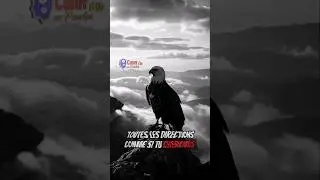 Ne cherche pas partout&hellip; &eacute;l&egrave;ve-toi | Citation Motivation & D&eacute;veloppement Personnel #motivation