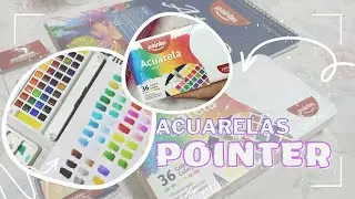 ✨¿Acuarelas calidad - precio?✨ Reseña Acuarelas POINTER 🌷| Saori Studio