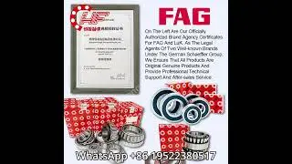 The secrets of FAG warehouse revealed! #Truck #Bearing #FAG #Readystock #Send