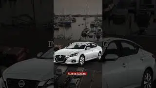 Работающий автомобиль, одна боксерская перчатка&hellip; и сонар раскрыли правду.