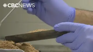 Can sawdust help clean dirty water? P.E.I. researchers think so