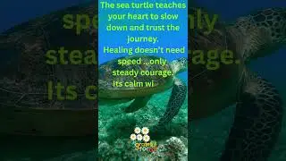 Sea Turtle Heart of Wisdom  #spiritualawakening #ascension #higherconsciousness