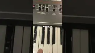 аналоговый синт стринг вокодер