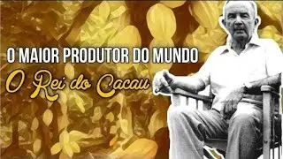 Edizio Muniz Ferreira o Maior Produtor De Cacau Do Mundo