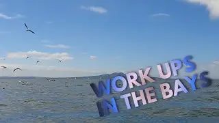 Work ups in the bays kayak fishing 