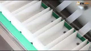 Multilane Stickpack Machine PH6/900 With Gantry & Cartoner