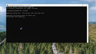 How To Troubleshoot Windows Store Apps In Windows 11 Tutorial