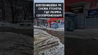 Дурландия в цвет. Отлично вы следите за уборкой города.  И ведь это не локальная проблема.