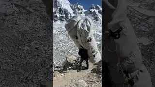 Sherpa Life on Everest Trek | #sherpa #everest #nepaltourism