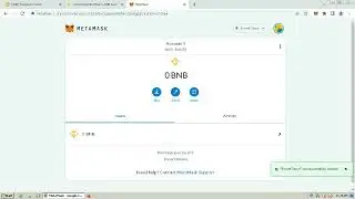 How to Connect MetaMask to BNB Smart Chain & How to import token to Metamask