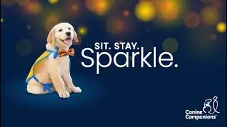Sit. Stay. Sparkle. Orange County 2021