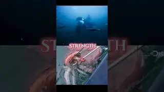Orca vs Colossal squid #paleontology #paleo #1v1 #animals #orca #squid