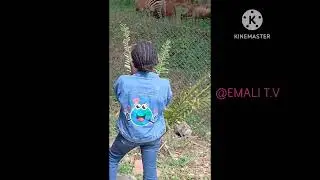 BEST OF NAIROBI SAFARI WALK / EXPLORING  KENYA - PLACES TO VISIT