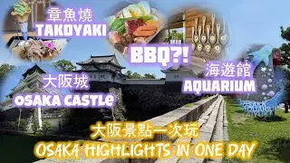 🇯🇵跟著我們玩大阪｜大阪城散步＋海遊館一日遊🏯Osaka Day 3