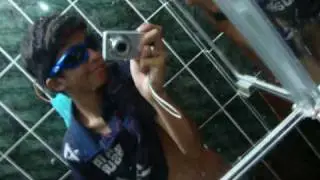 David lan 2010.wmv