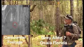 The Grey Alien From My Video In Ocala Florida