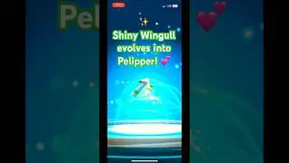 ✨Shiny Wingull evolves to Pelipper! 🪶 #pokemongo #shinylivingdex #shinydex #hoenn #pelipper #shiny