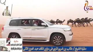 منقية الشيخ / طالب بن شريم المري في مزاين الملك عبدالعزيز الثاني للإبل